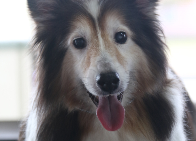 Quinn