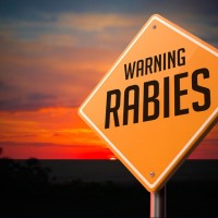 World Rabies Day – Rabies Alert