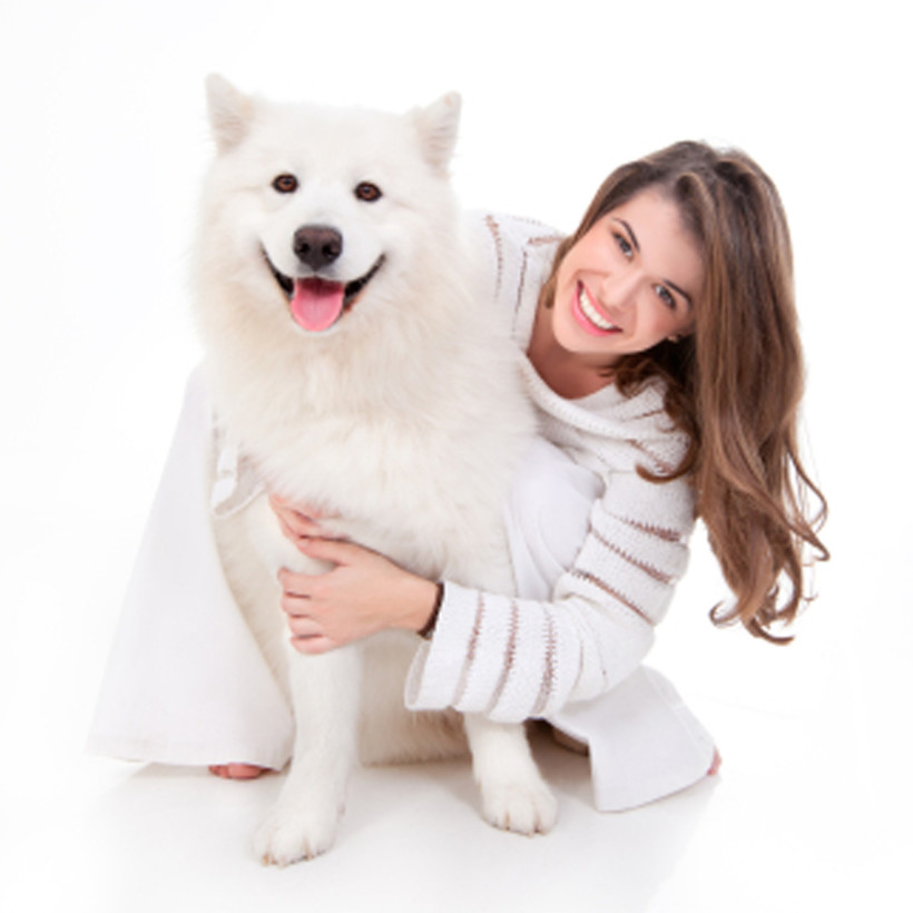 Importance of Grooming Your Dog